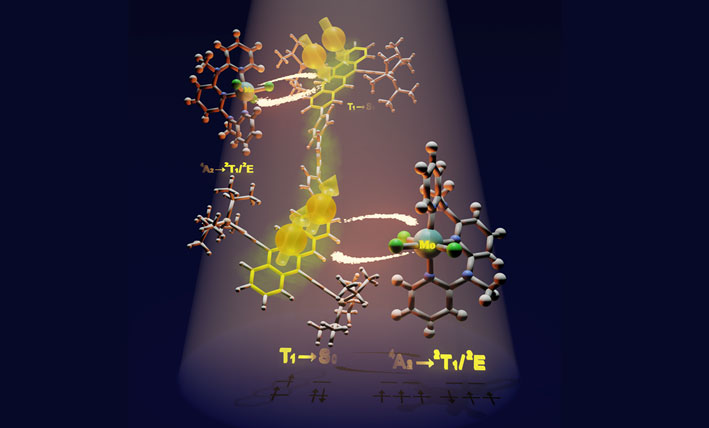 Molecular visualization showing singlet fission energy transfer pathway to a molybdenum spin-flip emitter